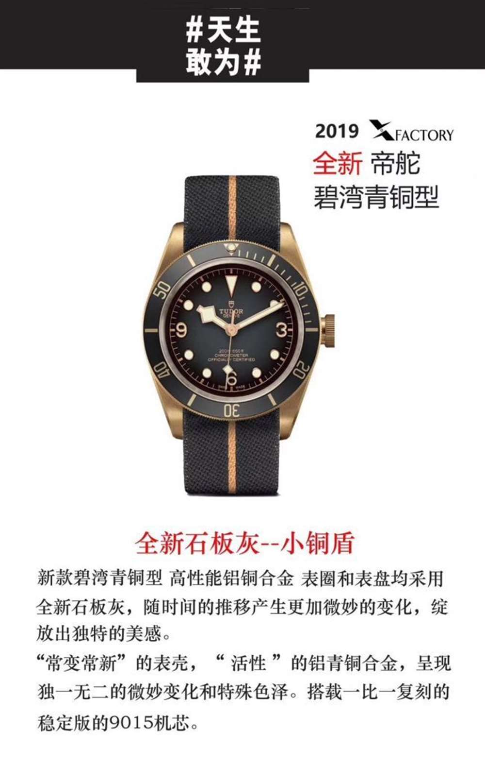 XF厂帝舵碧湾青铜型小铜盾M79250BA评测,贝克汉姆同款 第4张